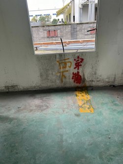 t qu{ u{ zqu{