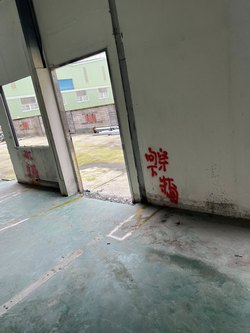t qu{ u{ zqu{